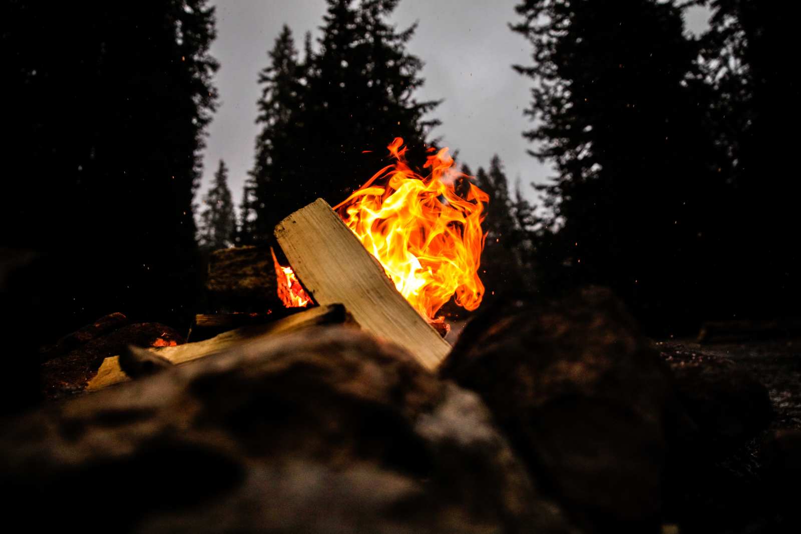 Feuer mit Holz im dunklen Wald