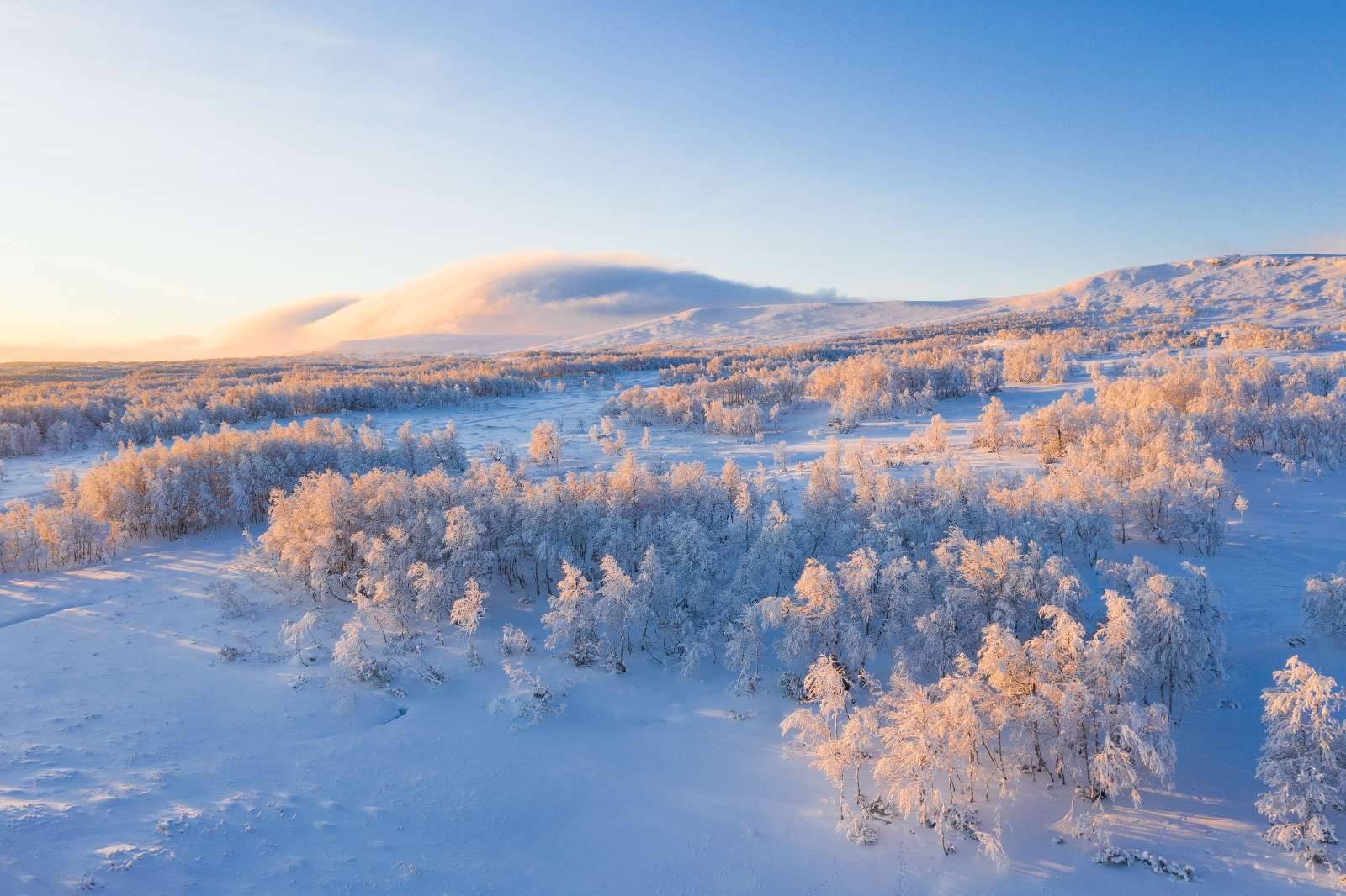 Schneebedeckte, schwedische Landschaft mit Bäumen, Hügeln und blauem Himmel
