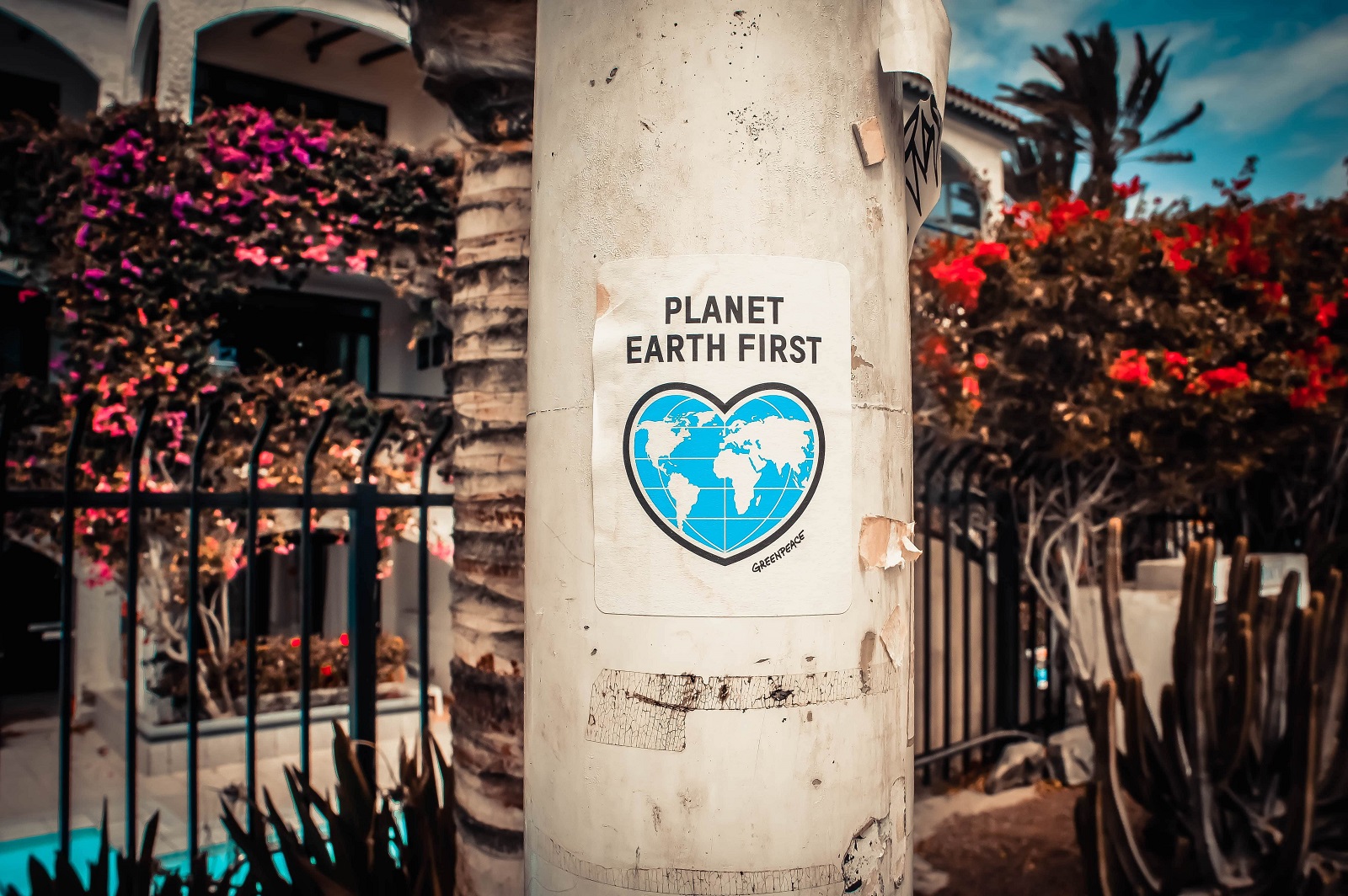 Flugblatt mit Spruch "Planet Earth First" und Erde als Herzform an Pfosten - Patagonia